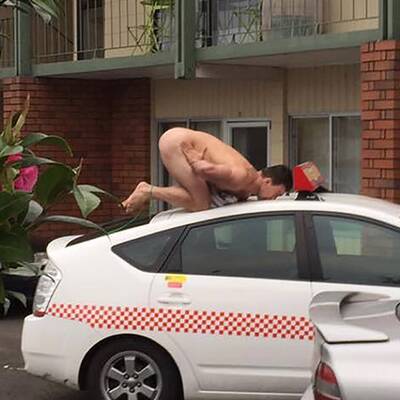 #frozenchook Challenge