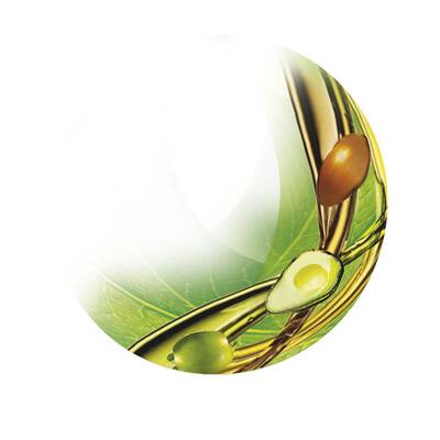 Garnier Fructis Oil Repair