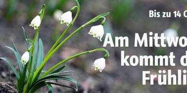 Am Mittwoch kommt der Frühling