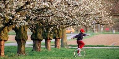 17 Grad: Frühling gastiert in Österreich