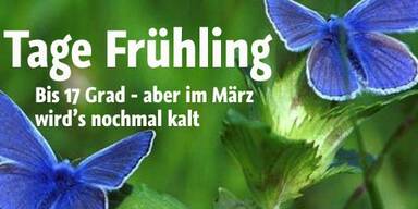17 Grad: Frühling gastiert in Österreich