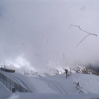 Der erste Wintergruß