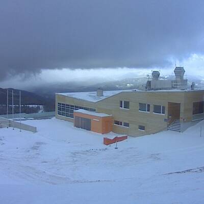 Der erste Wintergruß