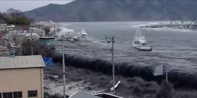 fsukushima.png
