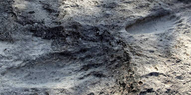 Fu&szlig;abdr&uuml;cke Mexiko 25.000 Jahre