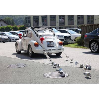 Karin Kneissl Hochzeitsfotos