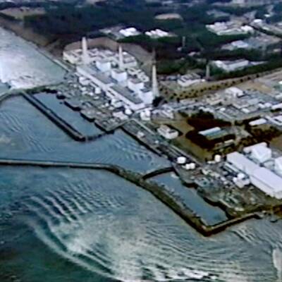 So traf der Tsunami auf den Reaktor