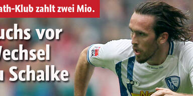 Magath will Fuchs zu Schalke holen