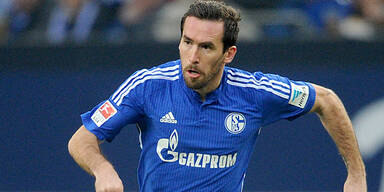 Fuchs ist "f&uuml;r alles offen"