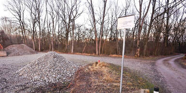 Horrorfund in Traismauer: