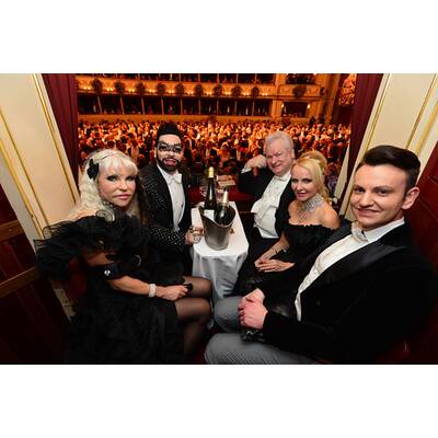 Die schönsten Bilder vom Opernball 2015