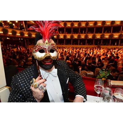 Die schönsten Bilder vom Opernball 2015