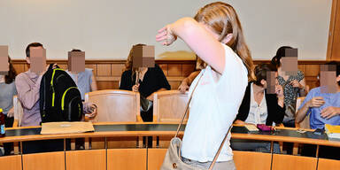 Verr&uuml;ckte  Gerichts- Posse um  Zwillinge 