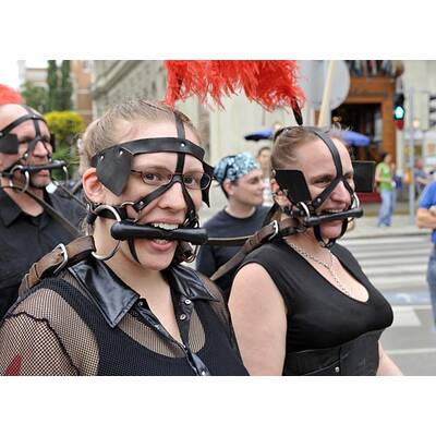 Tausende feiern Homosexuellen- und Transgender-Demo.