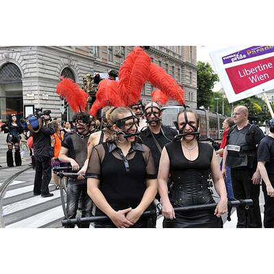 Tausende feiern Homosexuellen- und Transgender-Demo.