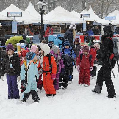 So fällt der Schnee in Wien