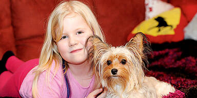 Familie adoptierte Crash-Hund