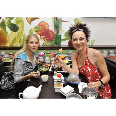 Katzi kämpft sich ins Leben zurück