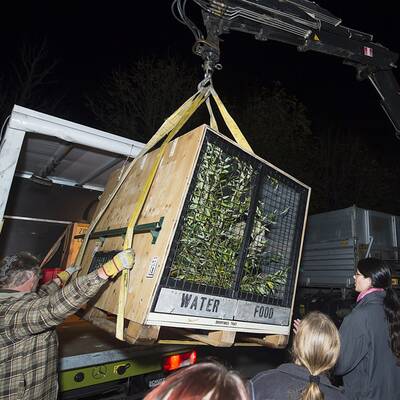 Fu Hus Heimreise nach China