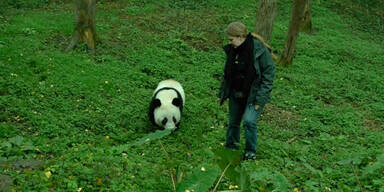 Fu Hu lebt sich in seinem neuem Reich ein