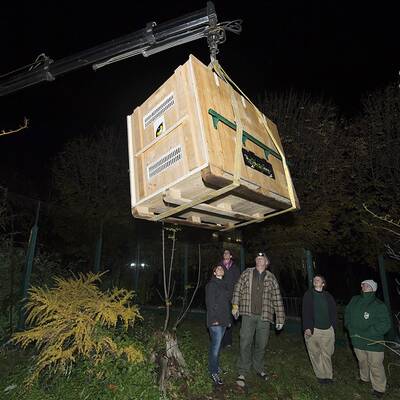 Fu Hus Heimreise nach China