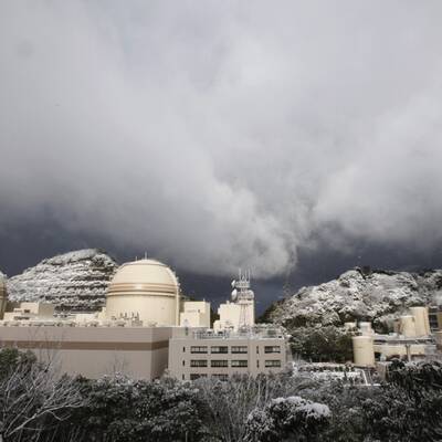 Ein Google-Street-View-Auto fuhr durch die radioaktiv verseuchte Stadt Namie und machte diese Fotos 