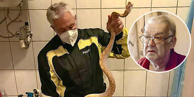 Riesen-Hype um Schlangen-Biss am Klo