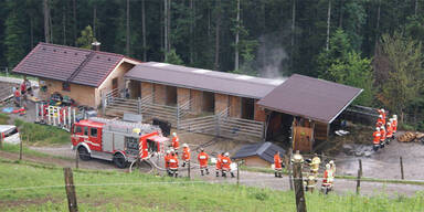 Blitze setzten mehrere Geb&auml;ude in Brand