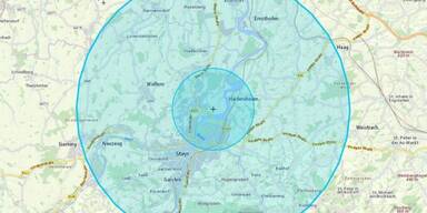 Vogelgrippe H5N1: 700 Gänse betroffen – strenge Maßnahmen in OÖ