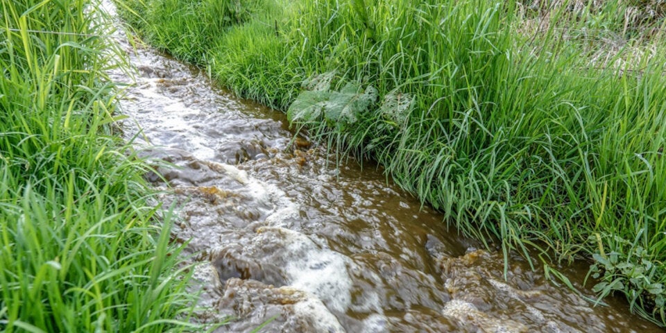 Umwelt-Alarm: 350.000 Liter Gülle ausgelaufen