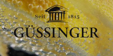 g&uuml;ssinger.png