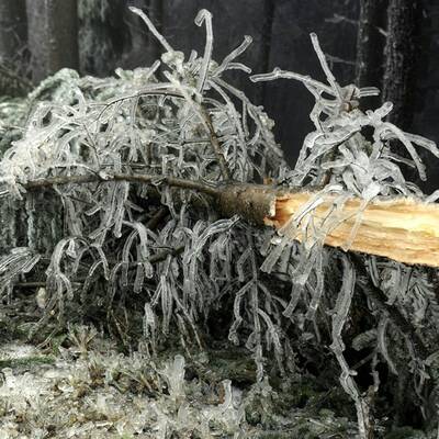 Ausnahmezustand in Ottenschlag