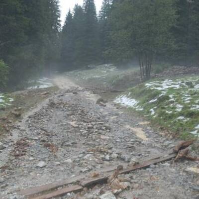 50 Personen wurden mittels Hubschrauber und Feuerwehrfahrzeugen gerettet