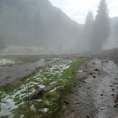 50 Personen wurden mittels Hubschrauber und Feuerwehrfahrzeugen gerettet