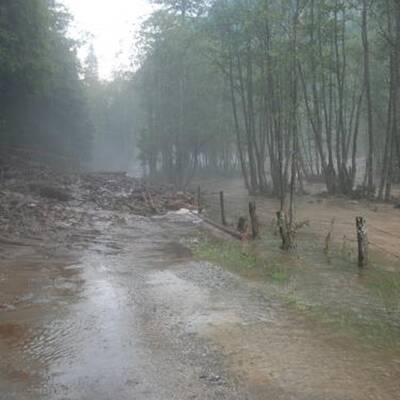 50 Personen wurden mittels Hubschrauber und Feuerwehrfahrzeugen gerettet