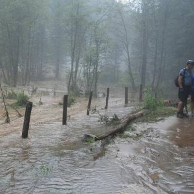 50 Personen wurden mittels Hubschrauber und Feuerwehrfahrzeugen gerettet