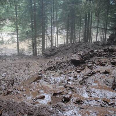 50 Personen wurden mittels Hubschrauber und Feuerwehrfahrzeugen gerettet