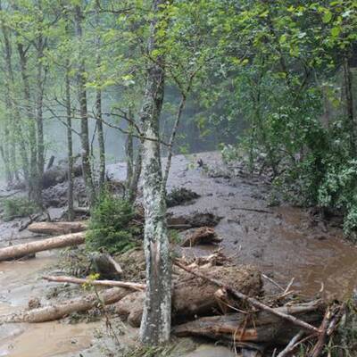 50 Personen wurden mittels Hubschrauber und Feuerwehrfahrzeugen gerettet