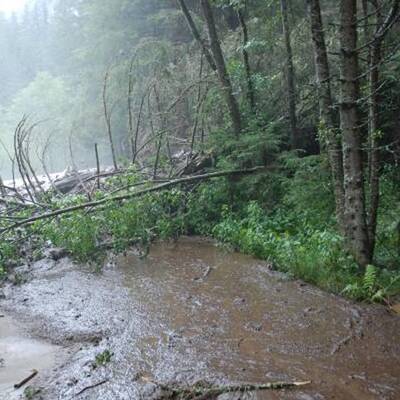 50 Personen wurden mittels Hubschrauber und Feuerwehrfahrzeugen gerettet