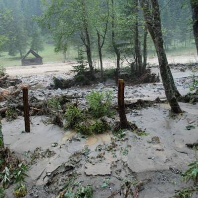 50 Personen wurden mittels Hubschrauber und Feuerwehrfahrzeugen gerettet