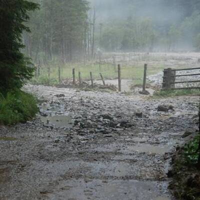 50 Personen wurden mittels Hubschrauber und Feuerwehrfahrzeugen gerettet