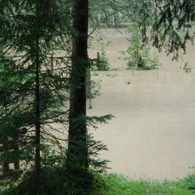 50 Personen wurden mittels Hubschrauber und Feuerwehrfahrzeugen gerettet