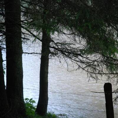 50 Personen wurden mittels Hubschrauber und Feuerwehrfahrzeugen gerettet