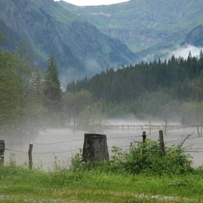 50 Personen wurden mittels Hubschrauber und Feuerwehrfahrzeugen gerettet