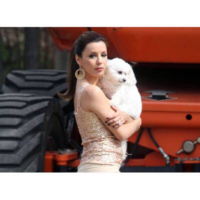 Verzweifelte Hausfrauen am Set