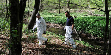 Leiche ohne Beine im Wienerwald entdeckt