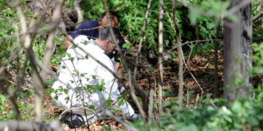 Leiche ohne Beine im Wienerwald entdeckt