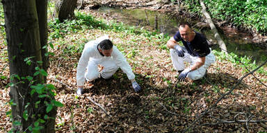 Leiche ohne Beine im Wienerwald entdeckt