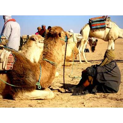 Die neuesten Urlaubsfotos