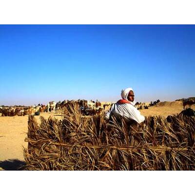 Die neuesten Urlaubsfotos